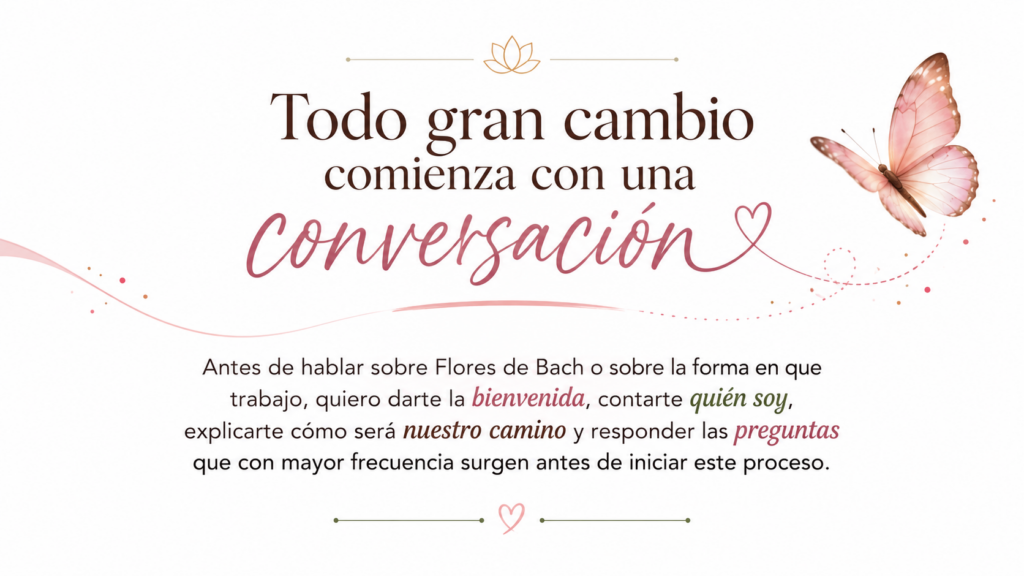 Bienvenida al proceso de acompañamiento de MAY-RAH-KEY, donde conocerás cómo será el camino antes de iniciar tu transformación consciente.